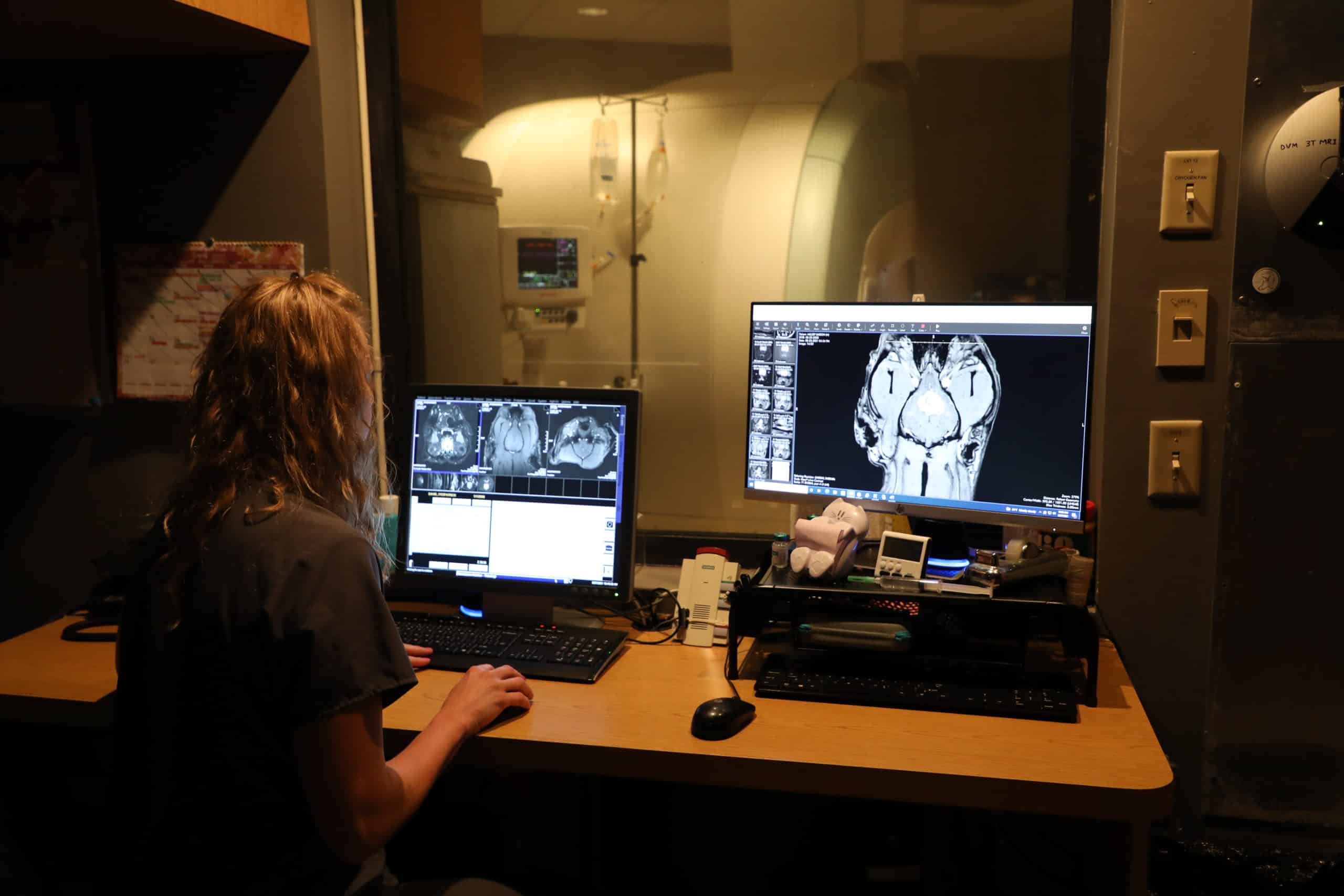 Small Animal MRI | Animal Imaging in Irving TX