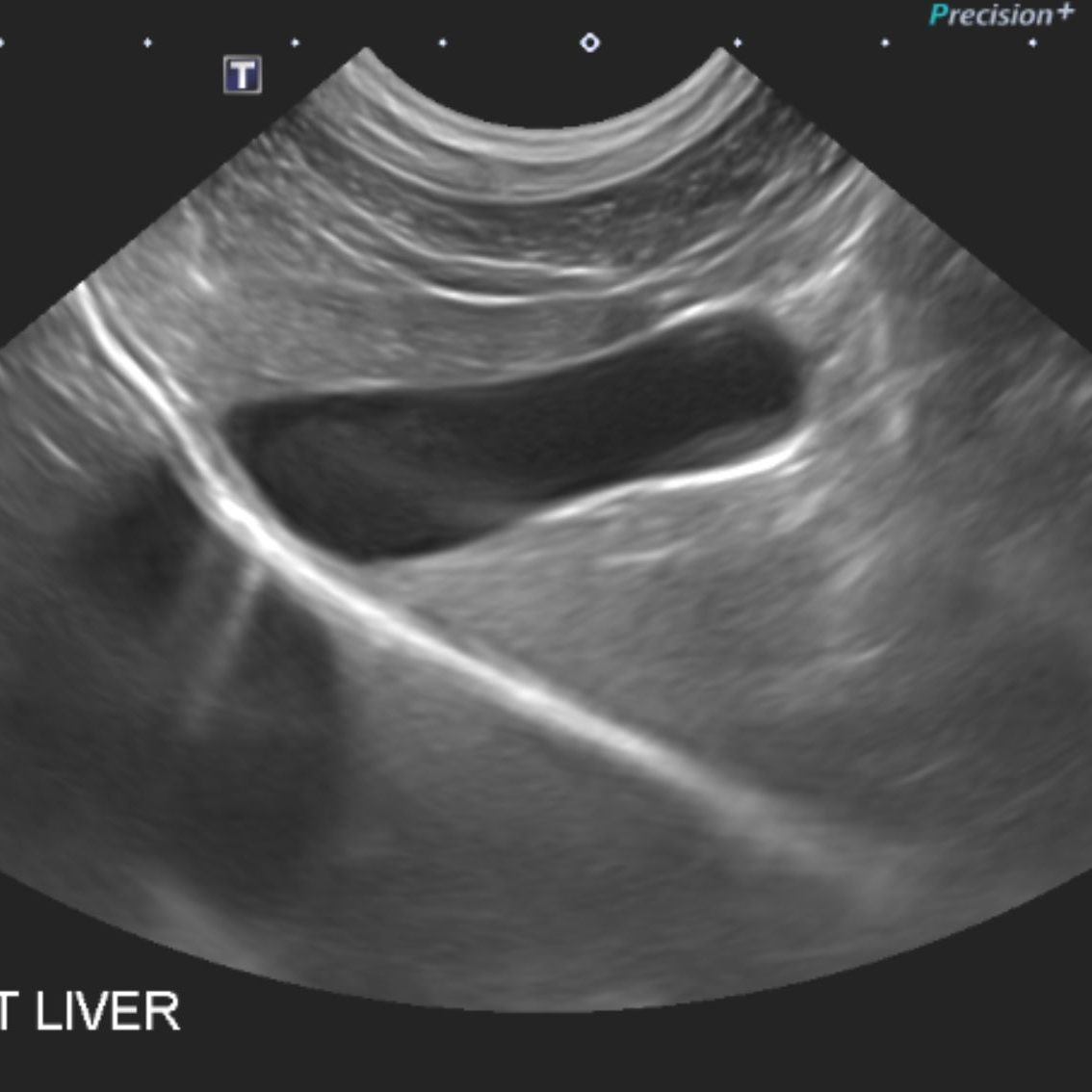 Small Animal Ultrasound & Echocardiogram